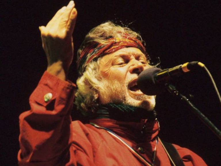 Captura Gato Alquinta