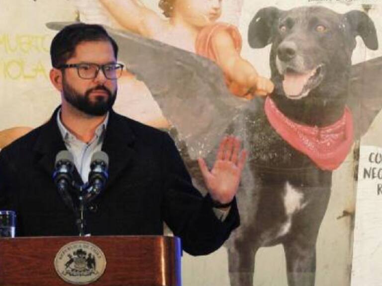 Sí, tuvo un sticker: Este es el adhesivo del “Perro Matapacos” que usó el Presidente Gabriel Boric