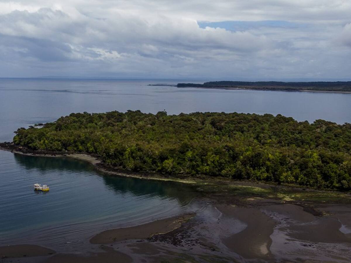 Candidatos a gobernadores y gobernadoras se reúnen en torno a la conservación de la Patagonia chilena
