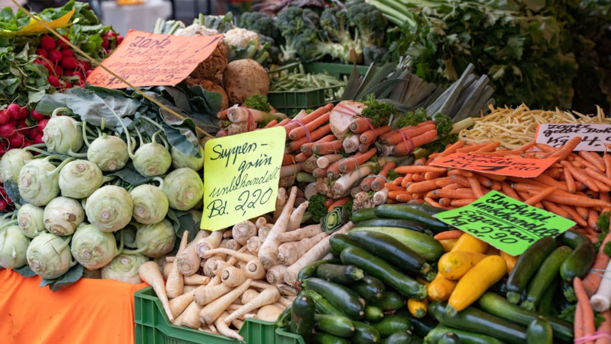 Canasta básica de alimentos de febrero bajó -1,2%: mayores alzas estuvieron en limones y leche en polvo