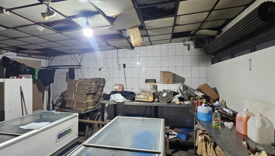 Carnicería clandestina en Peñaflor