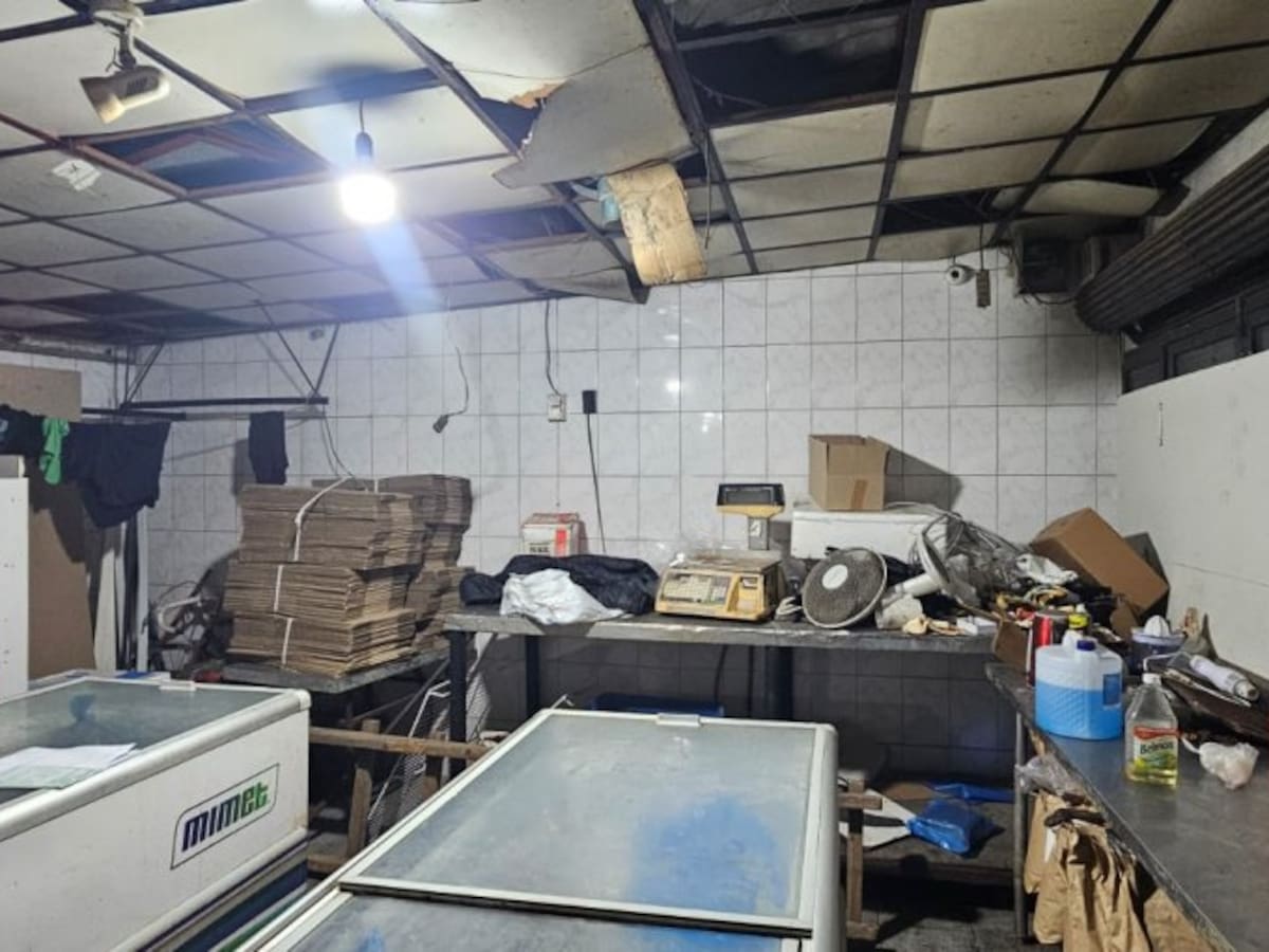 Descubren carnicería clandestina en Peñaflor: dos detenidos por procesar más de 450 kilos de carne en mal estado