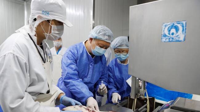 SHANGHAI, CHINA - AUGUST 18: Medical workers wearing protective suits collect samples from imported frozen beef for COVID-19 tests at a food factory on August 18, 2020 in Shanghai, China. (Photo by Yin Liqin/China News Service via Getty Images)
