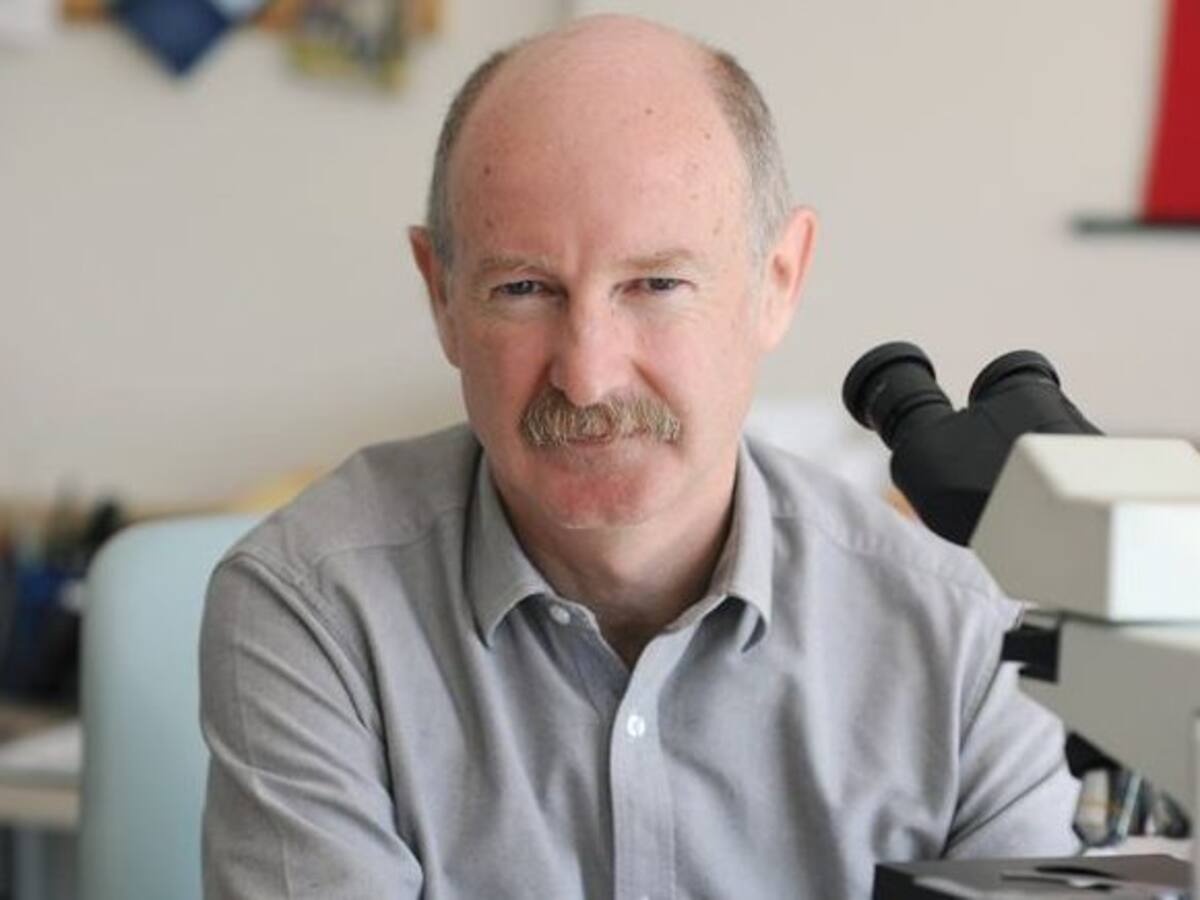 Rafael Yuste: «La neurotecnología nos permitirá conectarnos mentalmente a internet y computadoras»