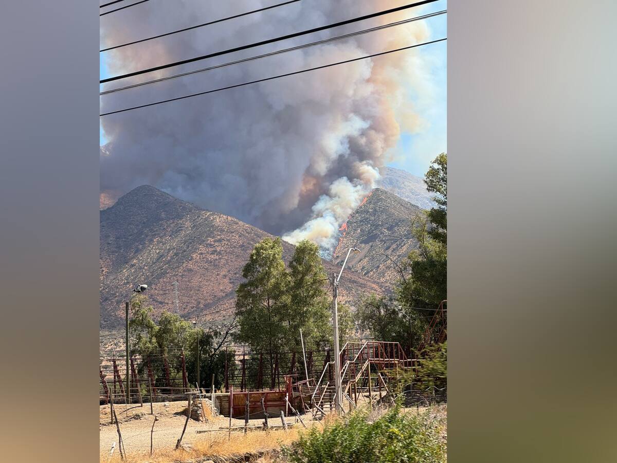 Incendio forestal en Tiltil afecta 150 hectáreas: generó una columna de humo visible desde kilómetros