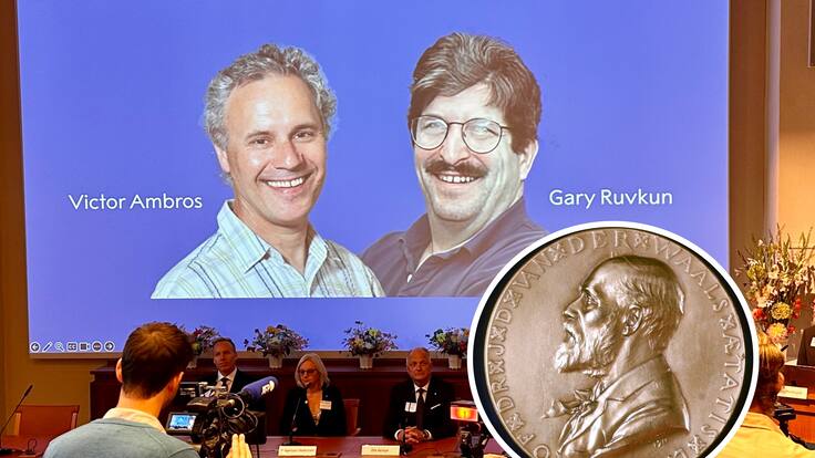Por el descubrimiento de los microARN: estos son los científicos ganadores del Premio Nobel de Medicina 2024