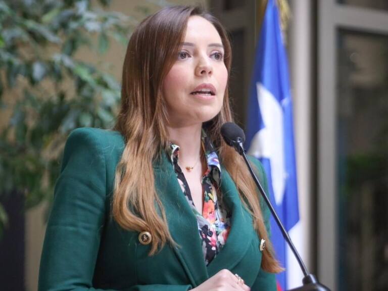 Diputada Flores pide a Contraloría pronunciarse por instrucción de colocar afiches de los 50 años del golpe