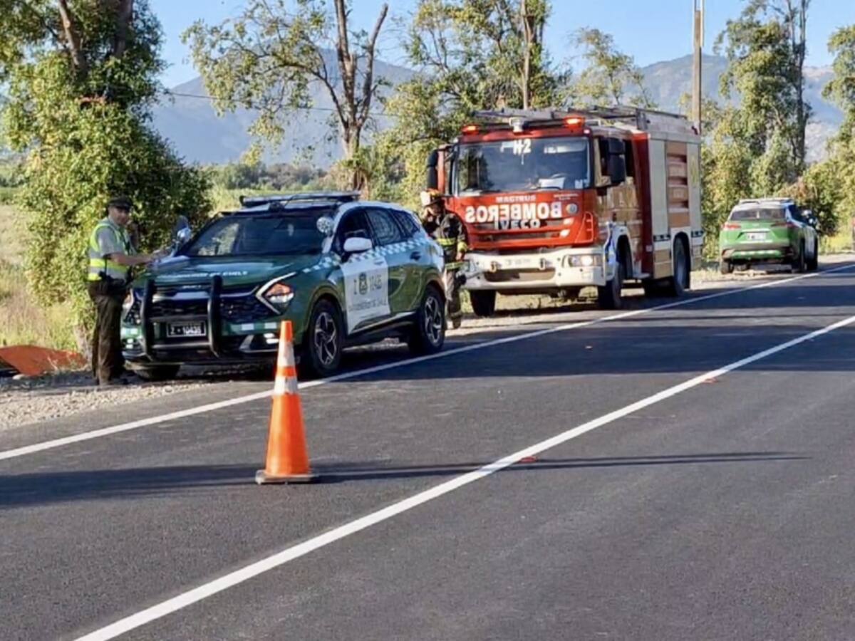 Fatal accidente de tránsito en el Maule: dos personas mueren tras chocar contra un árbol