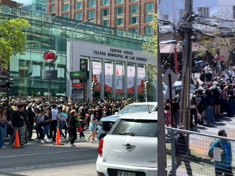 Día del Tulipán | Redes sociales