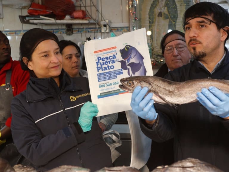 Durante todo septiembre: Sernapesca decreta veda de merluza