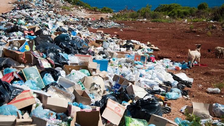 Crece el interés de los chilenos por el medioambiente: el 98% quiere ser una persona ‘Cero Desperdicios’