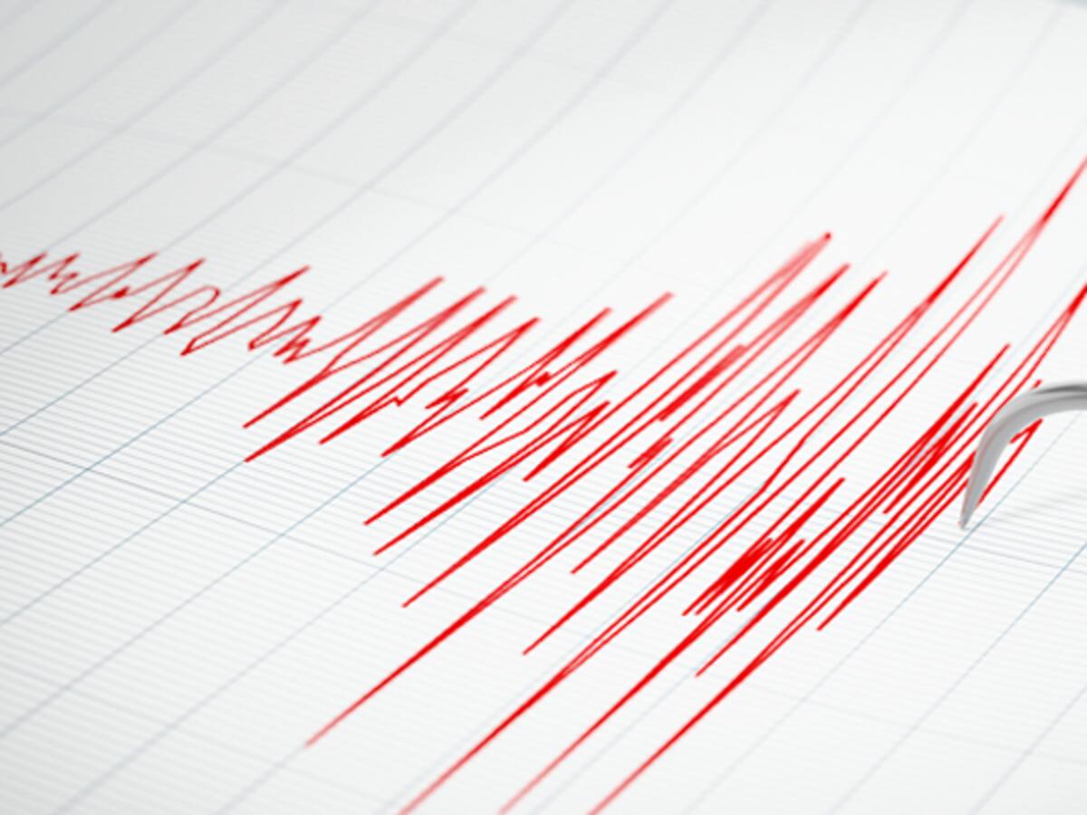 SHOA descarta riesgo de tsunami en las costas de Chile tras temblor 6,7 registrado en Oceanía