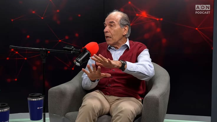 ¿Venimos directa y realmente del mono? Experto en evolución humana responde