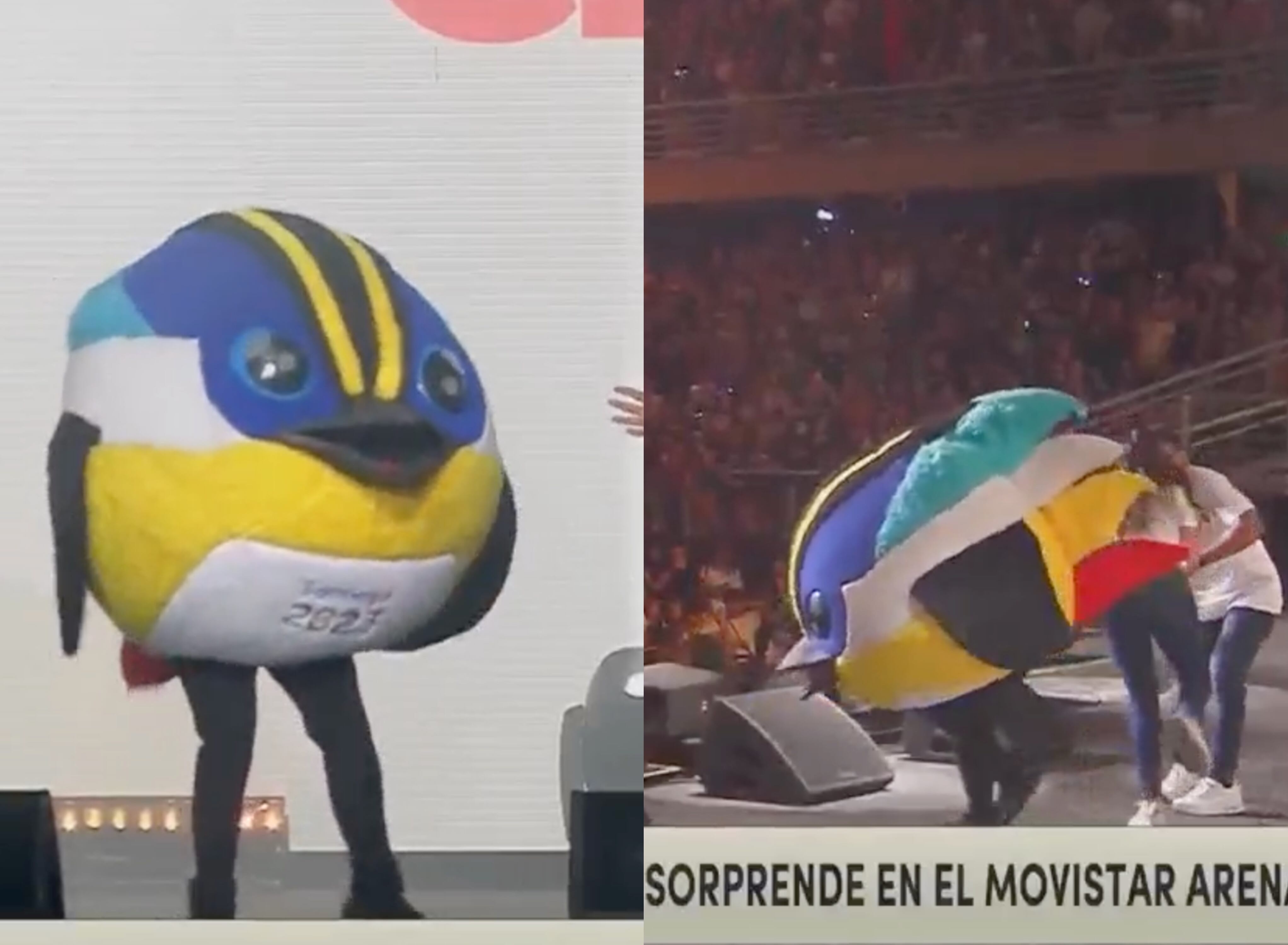 Capturas