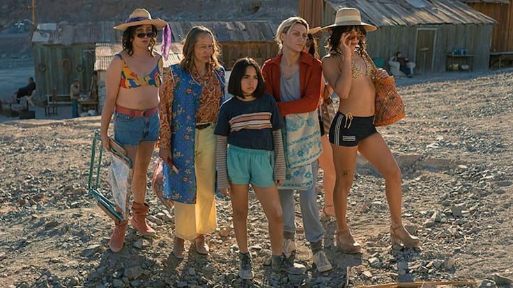 “La misteriosa mirada del flamenco”: director entregó detalles de la película chilena aclamada internacionalmente