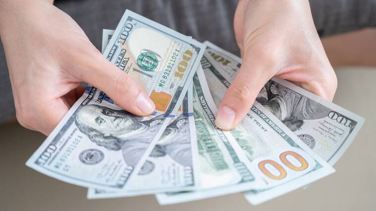 The US Dollar is the currency of United States.