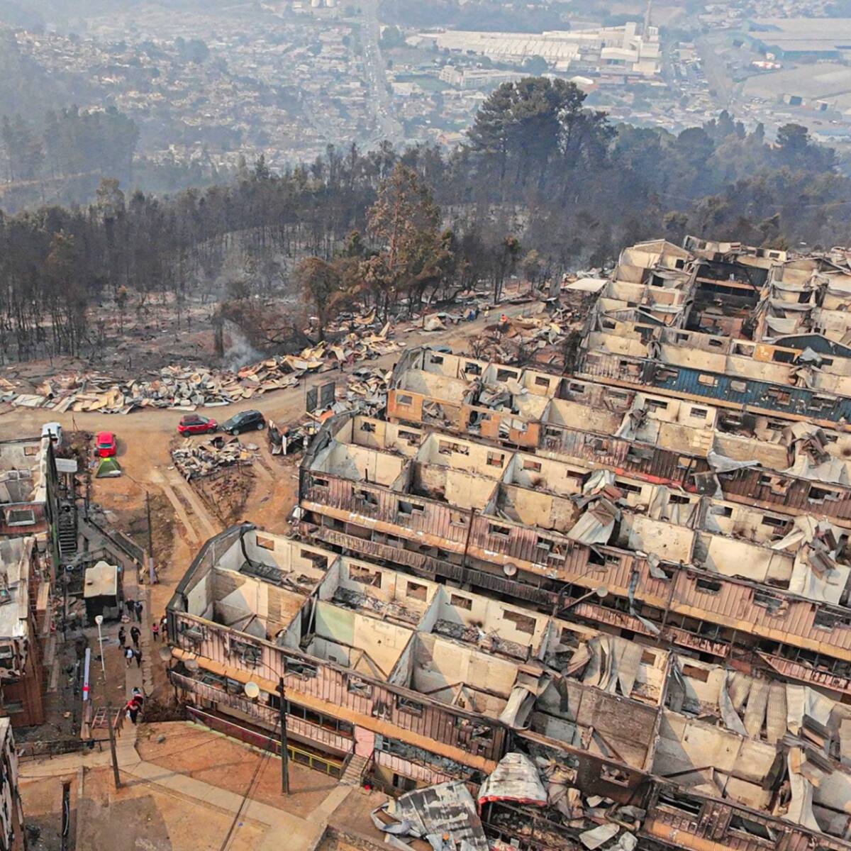 Campaña solidaria logra reconstrucción total de viviendas de emergencia en Ñuble y Biobío: benefició a casi 900 personas