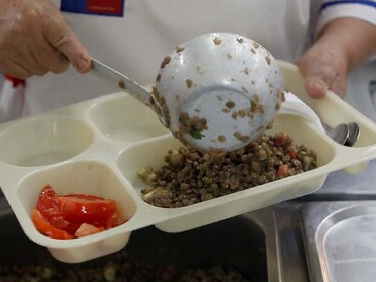 Suspenden entrega de alimentos: apoderados denuncian presencia de heces de ratón en escuela de Viña del Mar