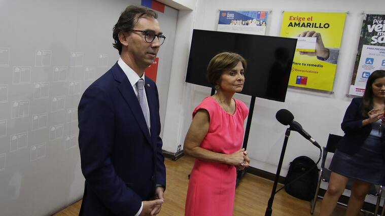 La Subsecretaria de Salud Pblica, Paula Daza (c) junto al ministro de Educacin, Ral Figueroa (i) durante en el punto de prensa en el Ministerio de Salud