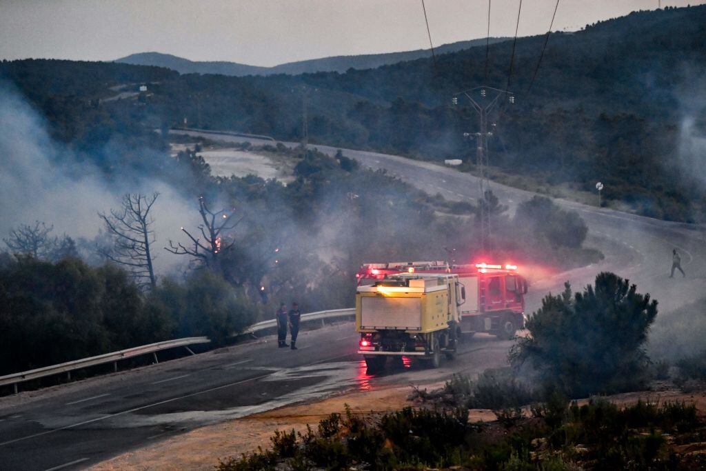 Bomberos enfrentan los incendios forestales en la frontera de Argelia y Túnez
