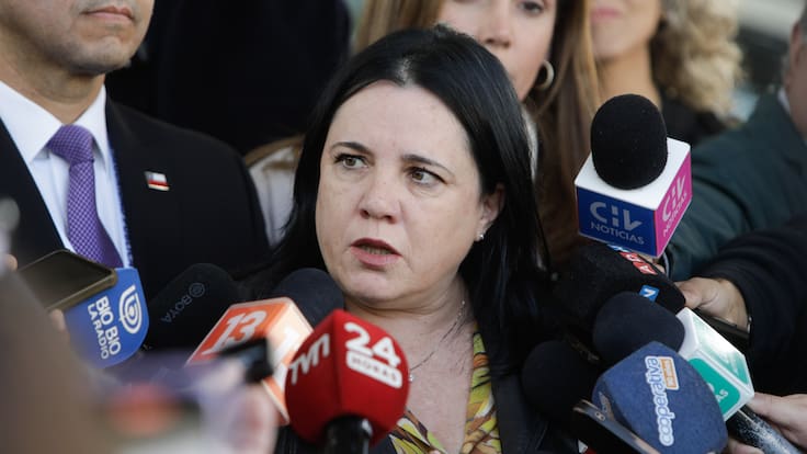 Debate legal por Ley de Seguridad del Estado en caso Lincolao: apuntan a falta de atribuciones de ministra Steinert