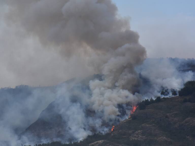¿Estamos realmente preparados para una catástrofe? Lanzan guía interactiva de supervivencia ante emergencias