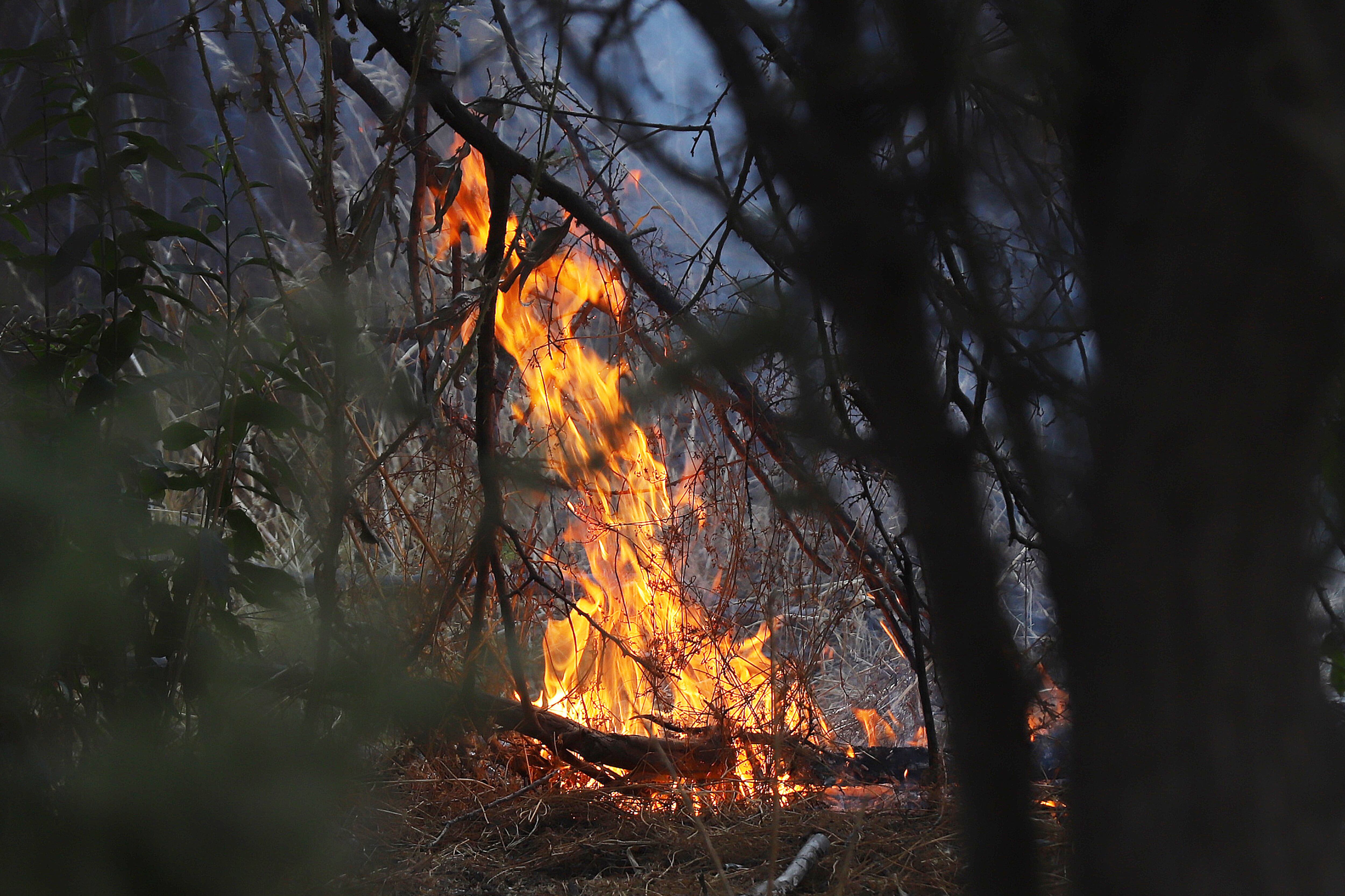 Declaran alerta roja en Villa Alemana por incendio forestal | Agencia Uno