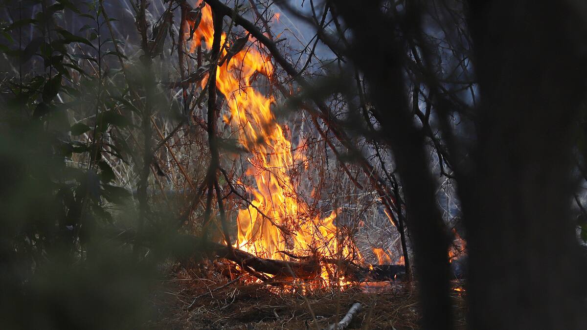 Declaran alerta roja para Villa Alemana por incendio forestal en Cerro La Virgen