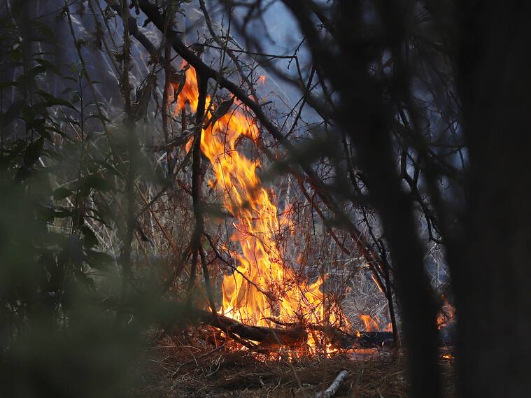 Declaran alerta roja en Villa Alemana por incendio forestal | Agencia Uno