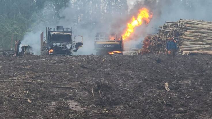 Ataque incendiario en Contulmo deja una máquina forestal y cuatro camiones quemados