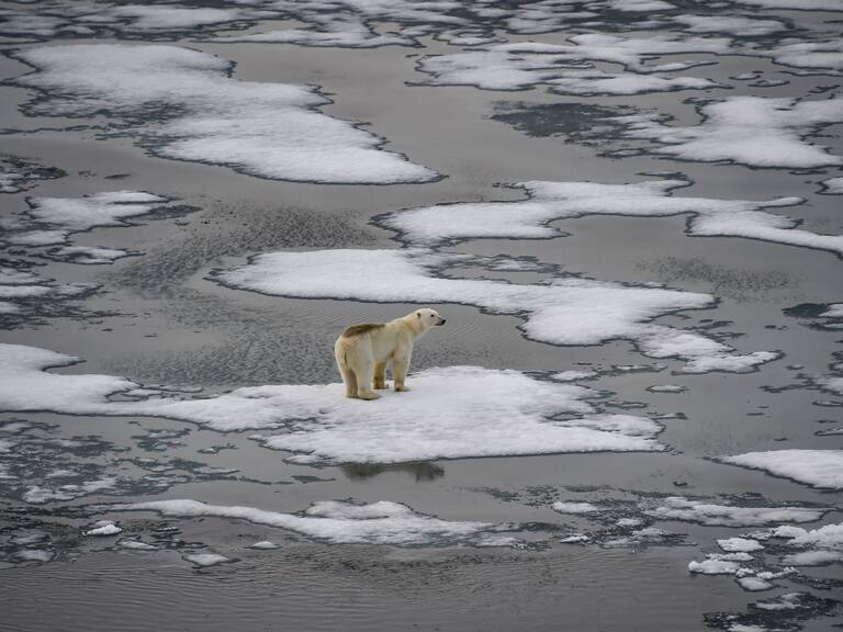 Cobertura de hielo marino global alcanza mínimo histórico en febrero y temperaturas promedio suben, según Observatorio Climático Copernicus