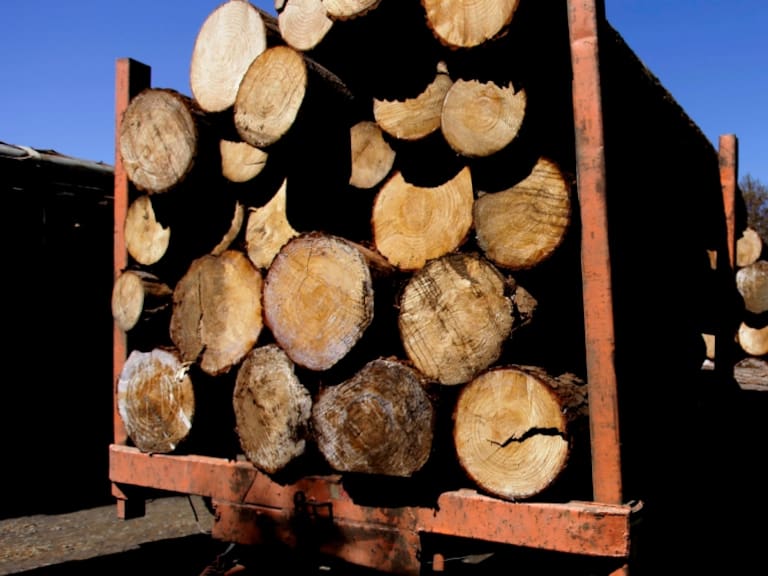 Biobío: PDI detiene a banda liderada por empresario vinculada al robo de madera y violencia rural