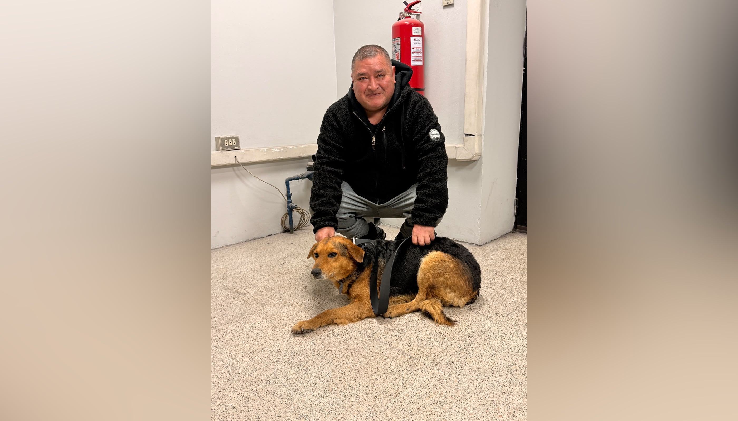 El emotivo reencuentro del perrito perdido en la Línea 4 del Metro