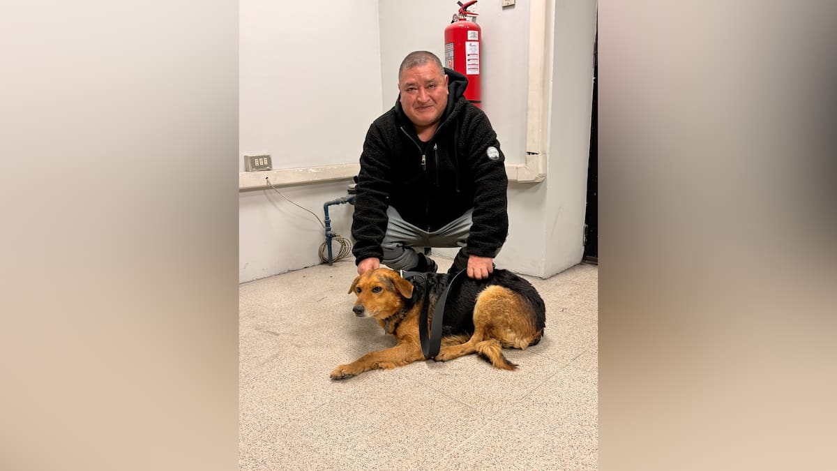 De vuelta en casa: El emotivo reencuentro del perrito perdido en la Línea 4 del Metro con su dueño