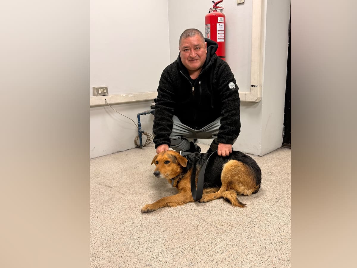 De vuelta en casa: El emotivo reencuentro del perrito perdido en la Línea 4 del Metro con su dueño