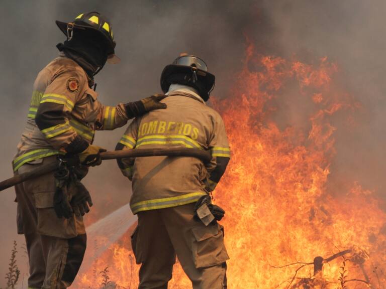 Incendios forestales: autoridades cifran en 311 los siniestros a nivel nacional, de los cuales 84 están en combate