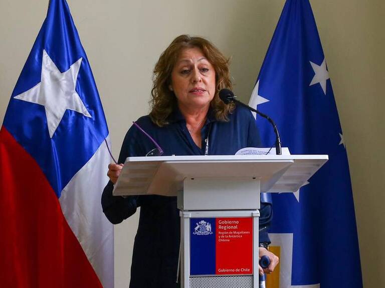 Seremi de Salud de Magallanes renunció a su cargo y criticó declaraciones de ministro Paris