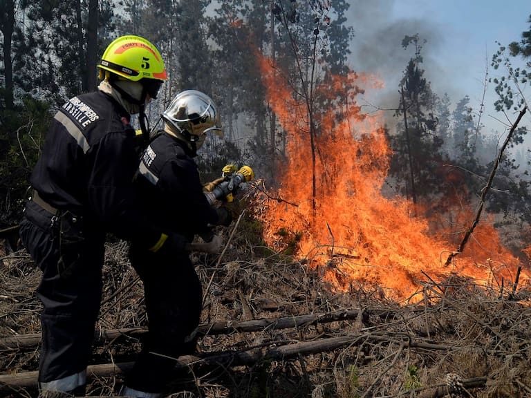 Amplían cobertura de Alerta Roja para las comunas de Paillaco y Valdivia por incendio forestal