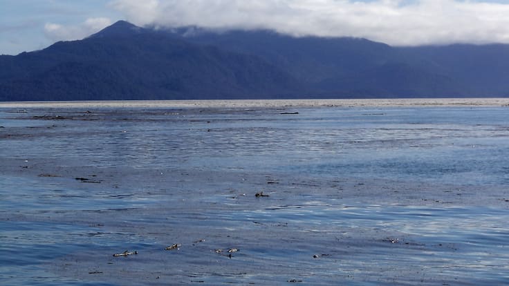 Alerta en Aysén: serie de temblores en el volcán Hudson obliga a reforzar monitoreo en la Patagonia
