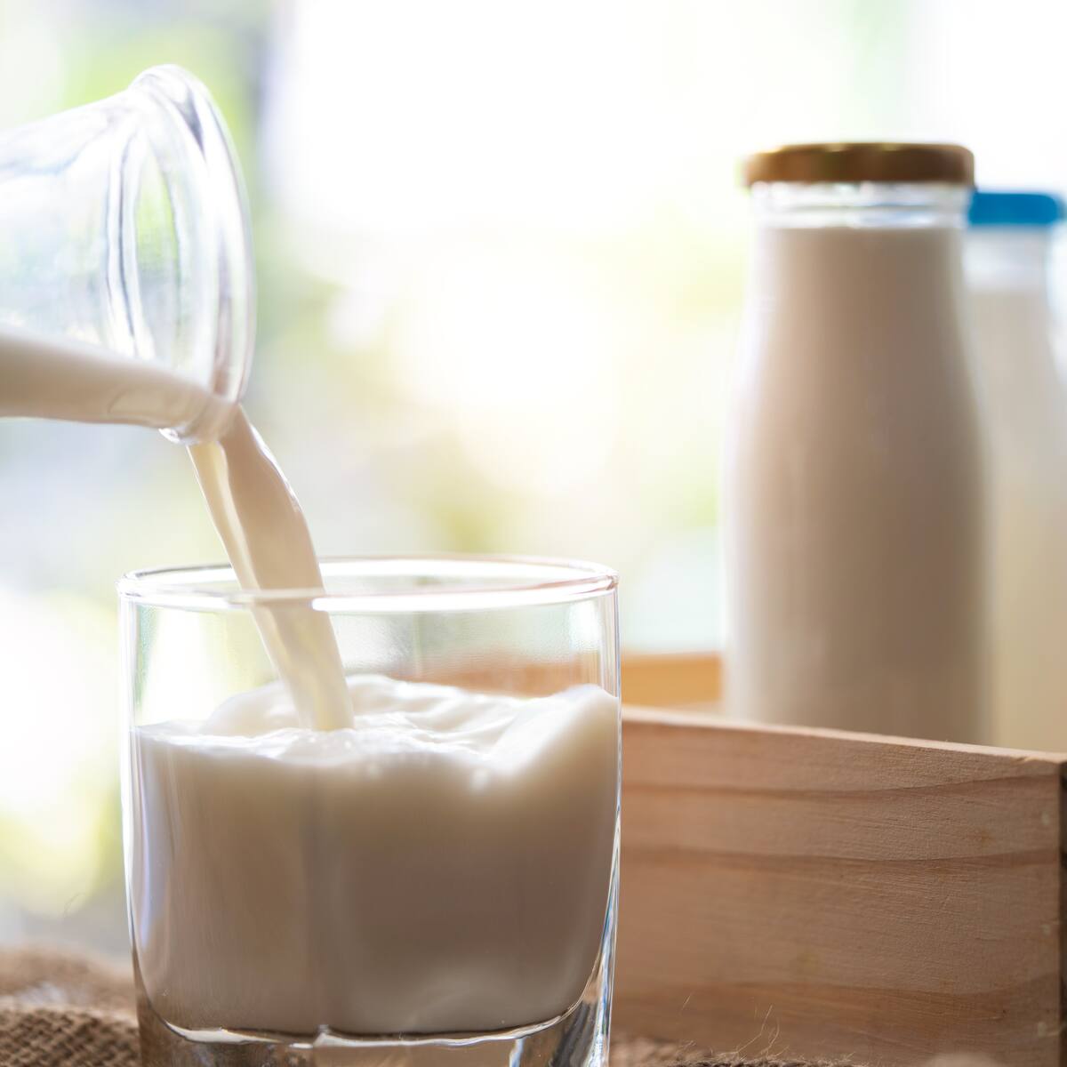 Leche entera, semidescremada o vegetal: cuál es mejor y qué aporta cada opción a la dieta