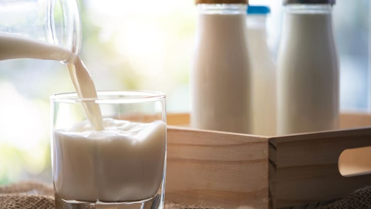 Leche entera, semidescremada o vegetal: cuál es mejor y qué aporta cada opción a la dieta