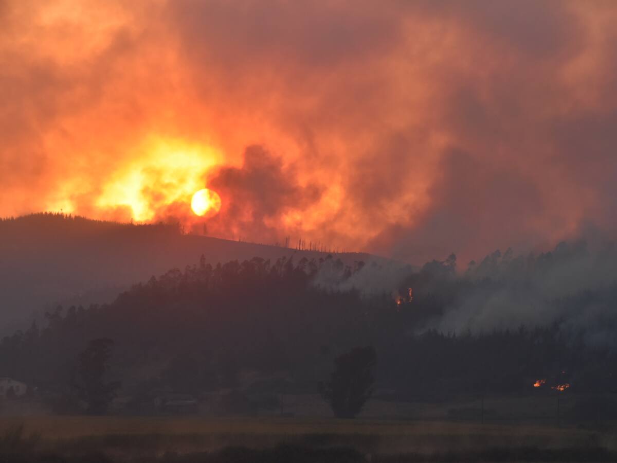 Más de 22 mil hectáreas quemadas: CONAF entrega balance de incendios forestales en La Araucanía