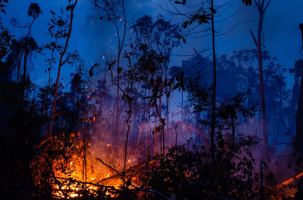 Un foco de incendio forestal en el Amazonas
