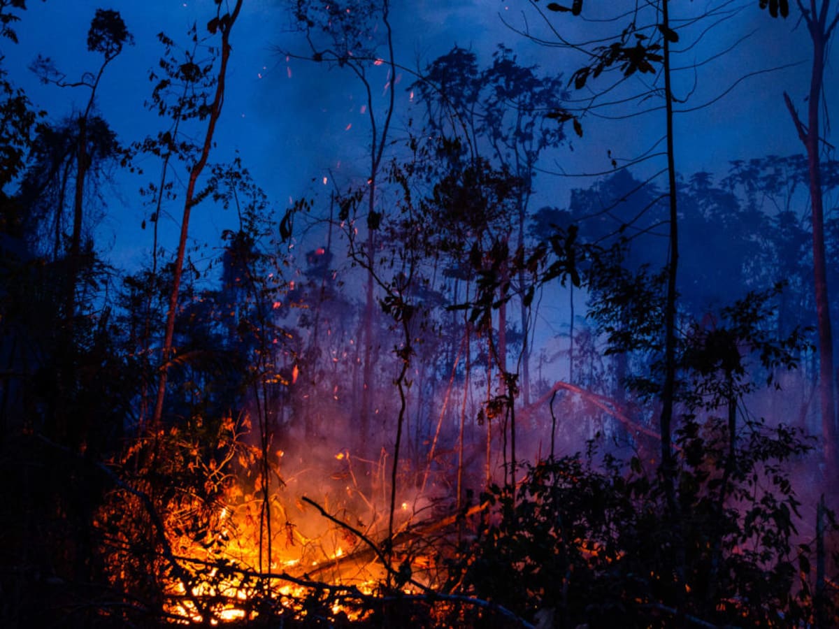 Amazonas de Brasil sufre la más trágica ola de incendios en la última década
