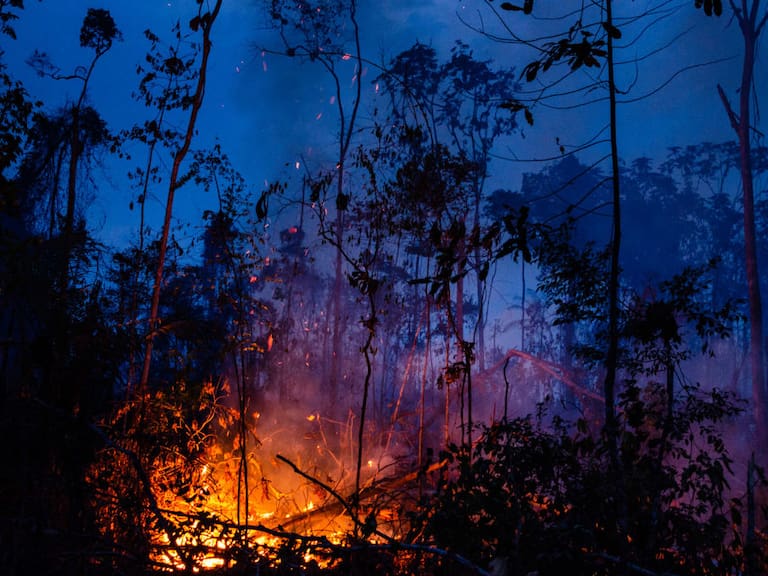 Un foco de incendio forestal en el Amazonas