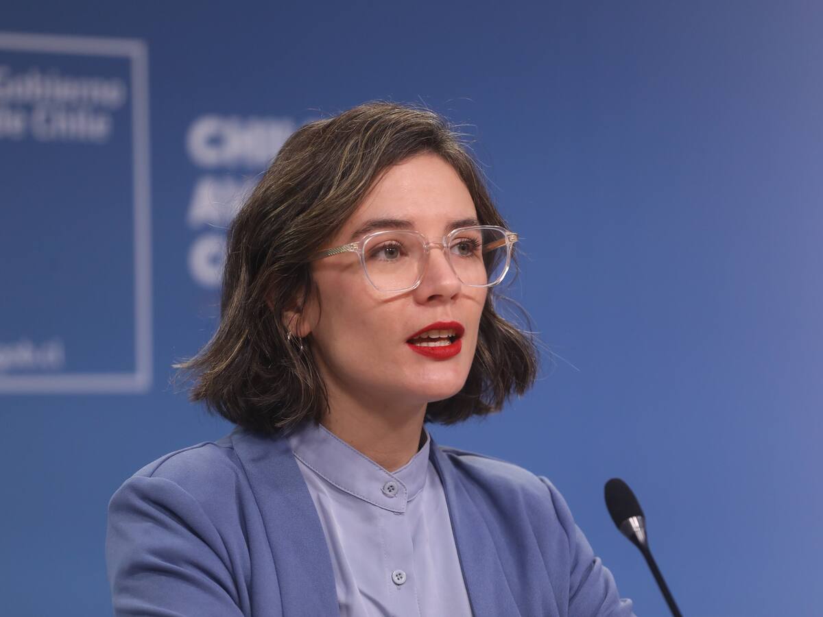 “Eso no corresponde”: ministra Vallejo aborda polémica diplomática de Chile y Argentina por la instalación de paneles solares en la Patagonia