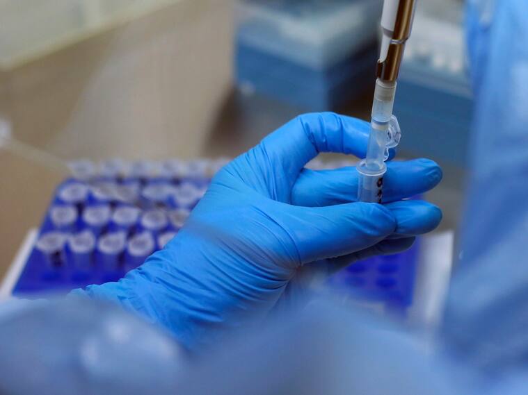 13 DE MAYO DE 2021/VALPARAISOEl Hospital Carlos van Buren inaugura un nuevo Laboratorio de Biología Molecular que fue diseñado e implementado para absorber la gran demanda de procesamiento de exámenes de PCR, entre otras labores, que generó la contingencia sanitaria por Covid-19.
FOTO: LEONARDO RUBILAR CHANDIA/AGENCIAUNO