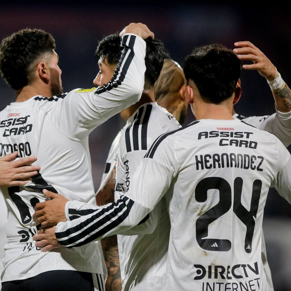La última novela del mercado en Colo Colo: “Todavía nos queda un camino por recorrer”