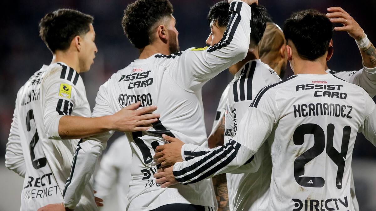 La última novela del mercado en Colo Colo: “Todavía nos queda un camino por recorrer”
