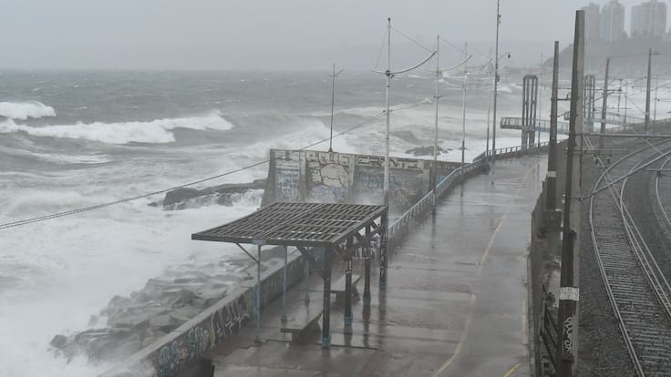 ¿Dónde ver las marejadas en vivo? Así puedes seguir el avance del oleaje en las costas de Chile